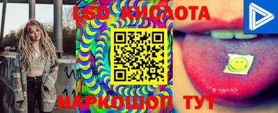 прущие грибы Бердск
