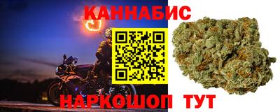 прущие грибы Бердск