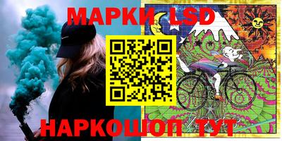 прущие грибы Бердск