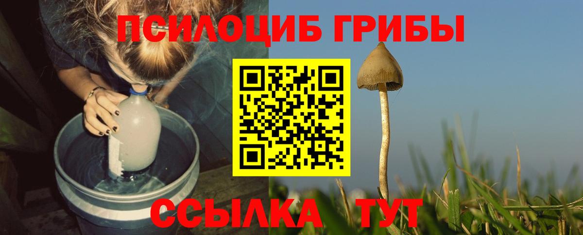 Псилоцибиновые грибы Psilocybine cubensis  Вход с VPN  Псилоцибиновые грибы ЛСД  Бердск 